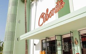 Cubanito Ibiza (Adults Only)